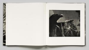 From Birds by Jim Dine