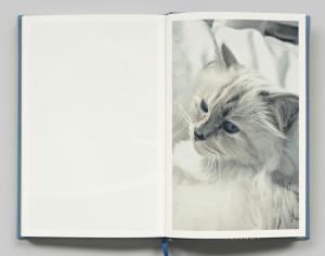 From Choupette by Karl Lagerfeld