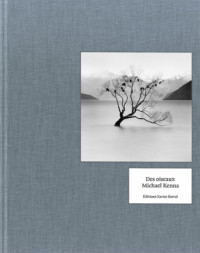 Des oiseaux (Kenna) – Cover