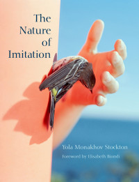 The Nature of Imitation – Cover